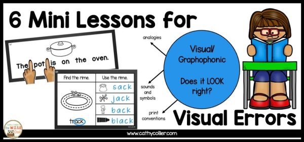 Small Group Visual Visual 6 Small Group Lessons For Visual Errors When Reading | The WISE Owl
