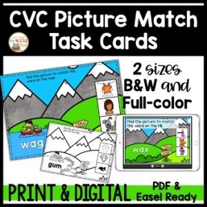 CVC Writing Picture Match Task Cards Science of Reading Phonics Centers