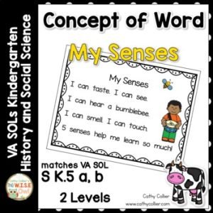 Concept of Word My Senses | Intervention