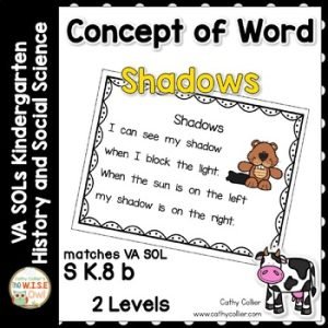 Concept of Word Shadows | Intervention