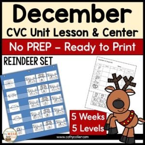 December CVC Unit Lessons, Activities & Center | Multi-Sensory Reindeer