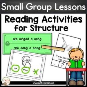 Small Group Reading Activities for Structure